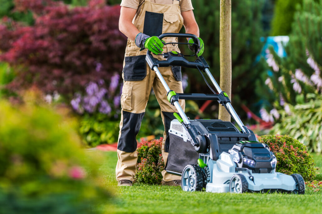 Summer Time Lawn Mowing in Colourful Blooming Garden